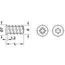 Häfele Euroschraube Varianta mit Senkkopf für 5mm Bohrung Länge 25mm