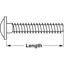 Häfele Gewindeschraube M4x1 Tellerkopf Kombi-Kreuzschlitz 10x20mm